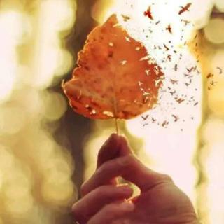 岁末,感恩一路帮助过我的所有人