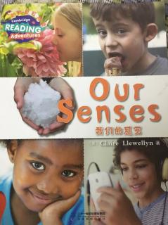 Our Senses