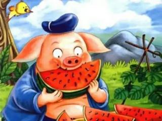 《猪八戒吃西瓜》