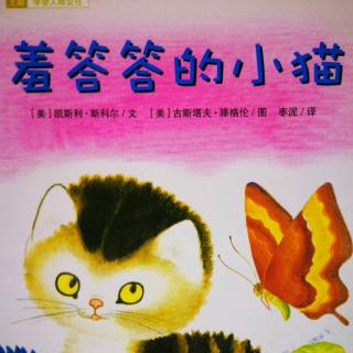 羞答答的小猫