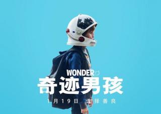 Wonder(1)