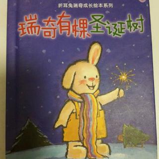 《瑞奇有棵圣诞树🎄》