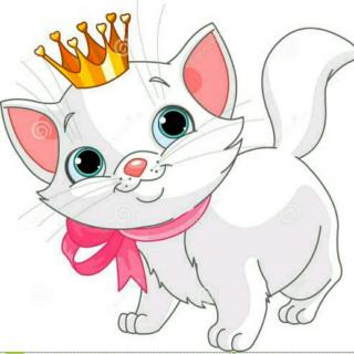 公主的猫
