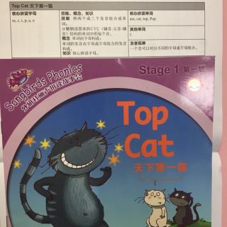 外研社丽声拼读故事会～stage 1 top cat