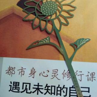 10《当灵性与科学相遇》