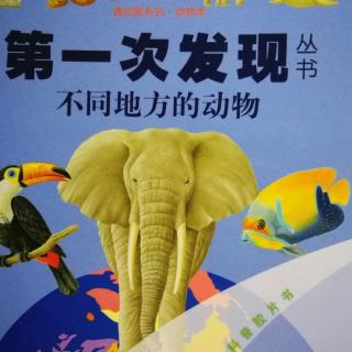 20180127《不同地方的动物》