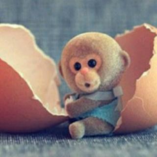 小猴偷鸡蛋