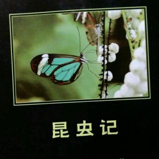 品读——昆虫记，第6章