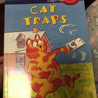 Cat traps