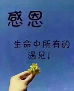 会跳舞的小豆子