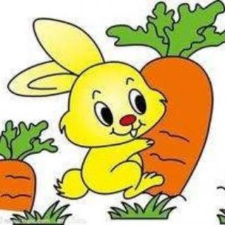 小兔子拔萝卜