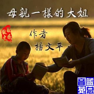 杨文平《母亲一样的大姐》蓝总播音