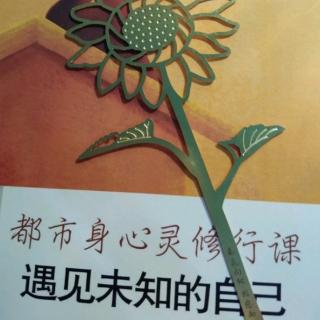 11《好运不怕命来磨》