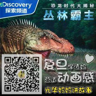 风中光华-恐龙时代大揭密丛林霸主（上）-第182期