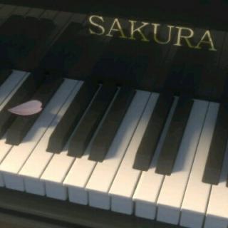 舒缓 钢琴曲纯音乐01