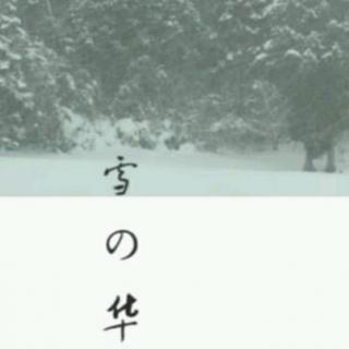 雪之华【口琴电台】