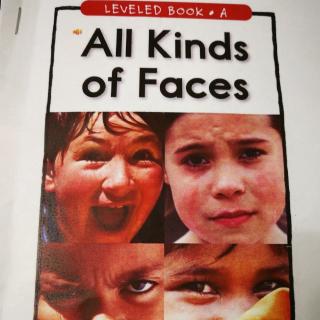 94.ALL Kinds of Faces