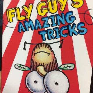 Fly guy's amazing tricks