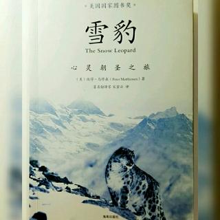 《雪豹》之水晶山：11月2日- 令人兴奋的动物