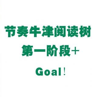 【节奏牛津阅读树】第一阶段+Goal!