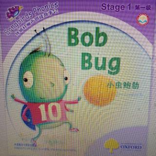 小虫Bob