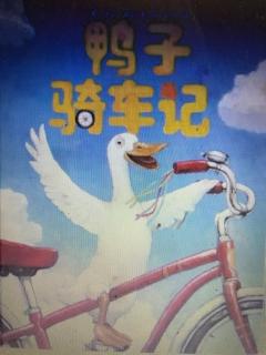 睡前故事314《鸭子骑车记》