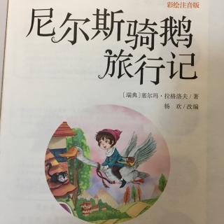 尼尔斯骑鹅旅行记2骑鹅去旅行