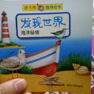 发现世界海洋秘境