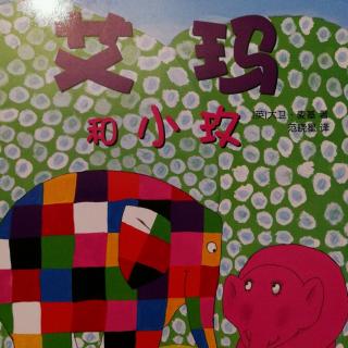 花格子大象系列——艾玛和小玫