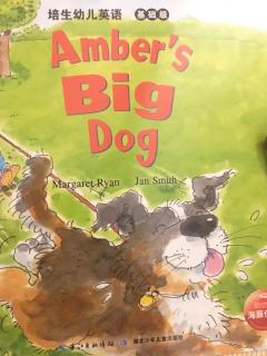 Coco夜读 Day 114 Amber's big dog