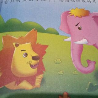 狮子和大象🐘【动物故事】
