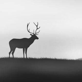 这个世界上,总有一半人永远不理解另一半人