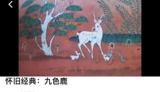 神话传说.九色鹿🦌