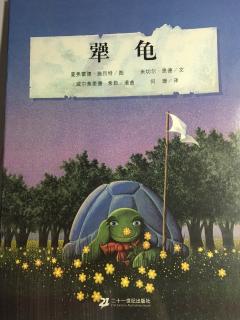 6️⃣绘本《犟龟🐢》