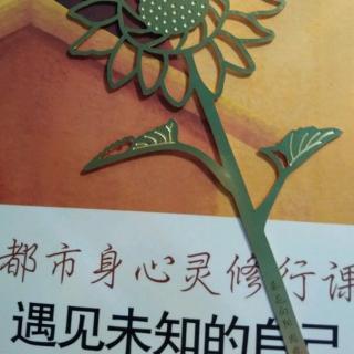 15《激励大师的体验分享》