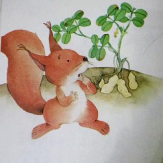 小松鼠找花生