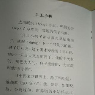 《诵读美文》丑小鸭