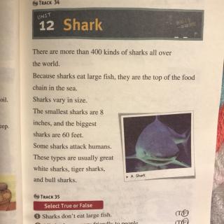 寅寅读英语～有趣的阅读−Unit 12 Shark