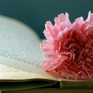 逢凶化吉号奇游记 第三集 惊动了总督大人