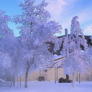 《等一场雪》作者:旭日迎峰