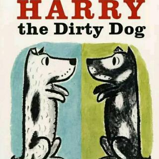 Harry   the   dirty   dog