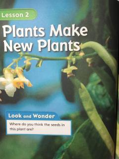 Plants Make New Plants