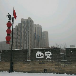 55. 城南落雪