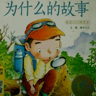 《鸡为什么要吃小石子》