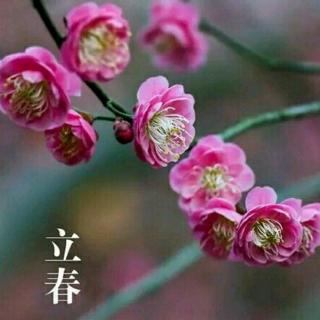 中国传统24节气 · 立春🍃