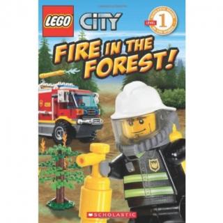 LEGO City- Fire in the Forest!