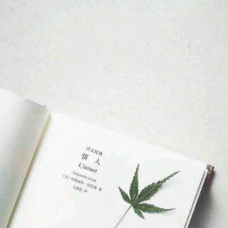 一个人爱不爱你，看他的朋友圈就知道（文/有故事的蒋同学）