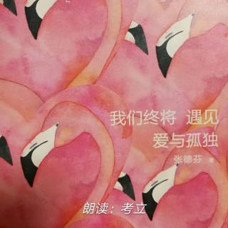 《我们终将遇见爱与孤独》1