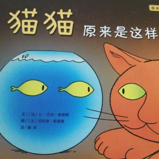 猫猫原来是这样