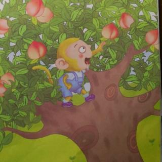 园长妈妈😘晚安故事《小猴摘桃子》